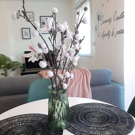 Appartement Proche Aeroport A Pied, Le Reve Rose. à Tillé Extérieur photo