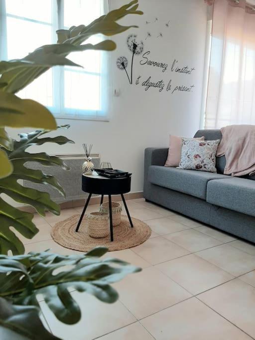 Appartement Proche Aeroport A Pied, Le Reve Rose. à Tillé Extérieur photo