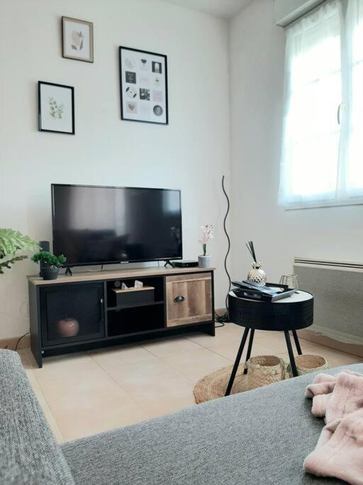 Appartement Proche Aeroport A Pied, Le Reve Rose. à Tillé Extérieur photo